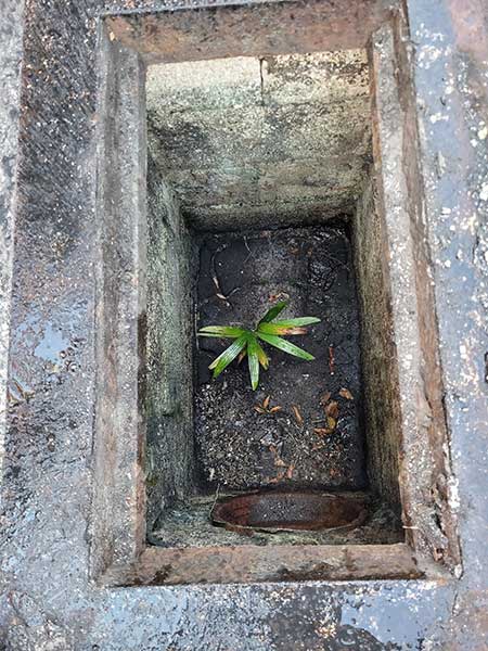 Parking Lot Drainage and Catch Basin Contractor Contractors Fort Lauderdale